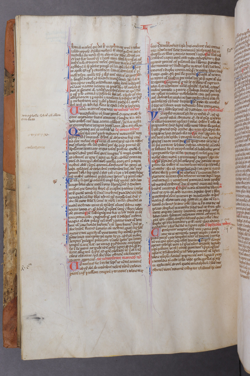 Folio 137 verso